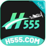 H555 Game App